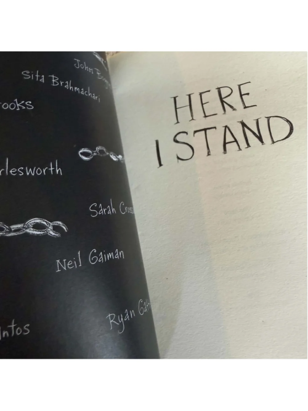 Here I Stand: Stories That Speak For Freedom Book - Yellow/Black